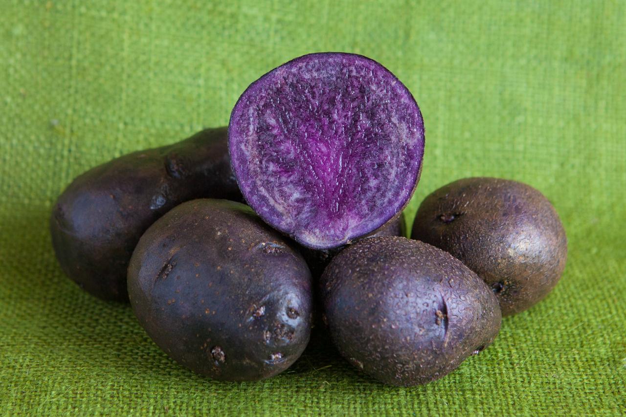 Purple Potatoes - Fad or Fabulous? – Easy To Grow Bulbs