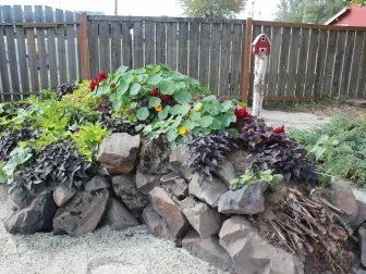 Raised Bed Garden