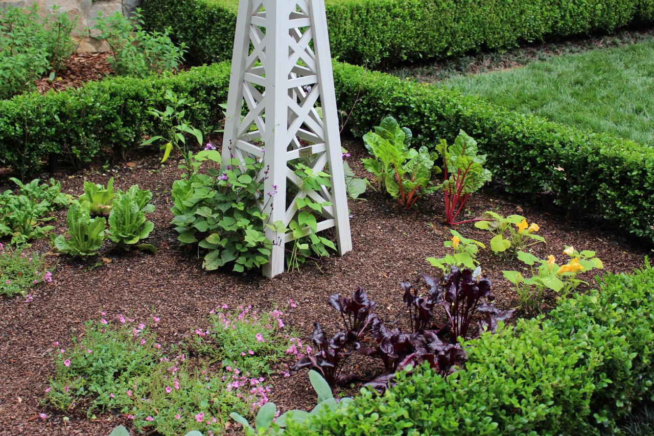 Vegetable Garden Design Ideas