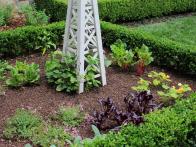 <center>Vegetable Gardening Tips for Beginners