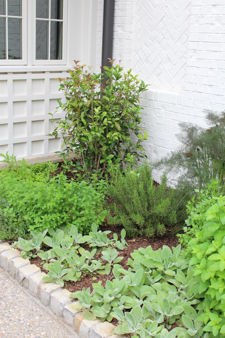 A beautifully designed herb garden has the extra advantage of being placed right outside the kitchen door for easy access.
