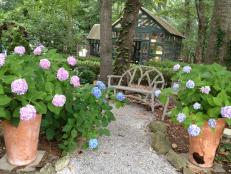 Consider making a path through your woodland garden to a potting shed or other destination. Use natural materials on the path so weeds and grass can't sprout. Hydrangeas will grow nicely in large containers, adding bright color to the shade.