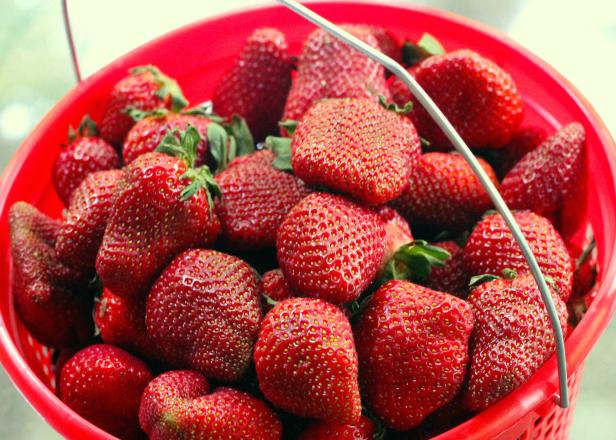 Use proper storage to keep strawberries fresh.