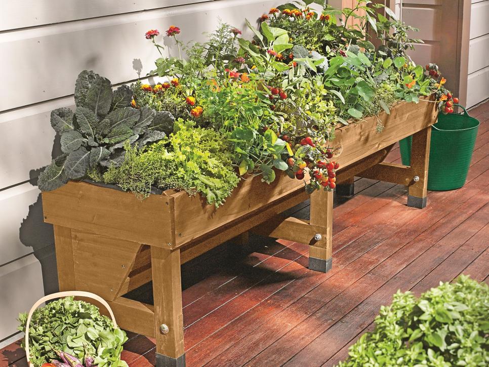 Container And Small Space Gardening Diy, Home Garden Ideas For Small Spaces