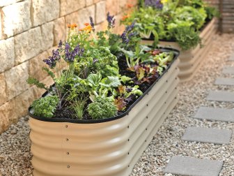 Edible Container Garden