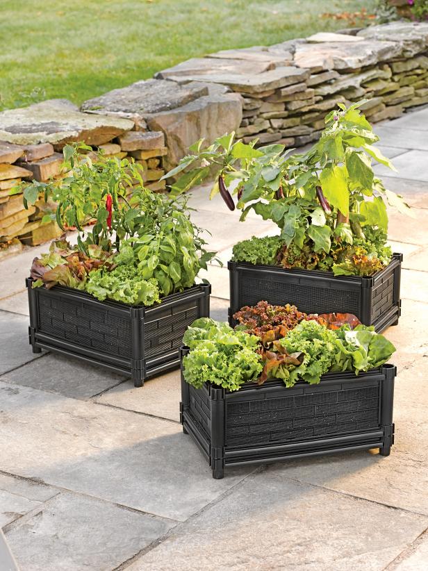 Easiest Vegetables To Grow In Flower Pots - How To Grow A Garden In Pots