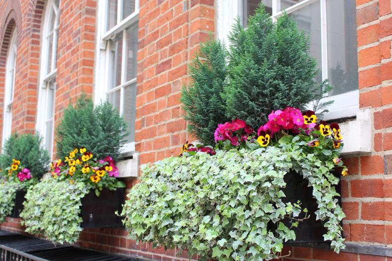 It doesn't cost a dime but assures reams of inspiration for your own garden back home: a walking tour of almost any London neighborhood will yield ideas for your own containers and window boxes. The English excel at making any space, no matter how small, a visual garden delight.