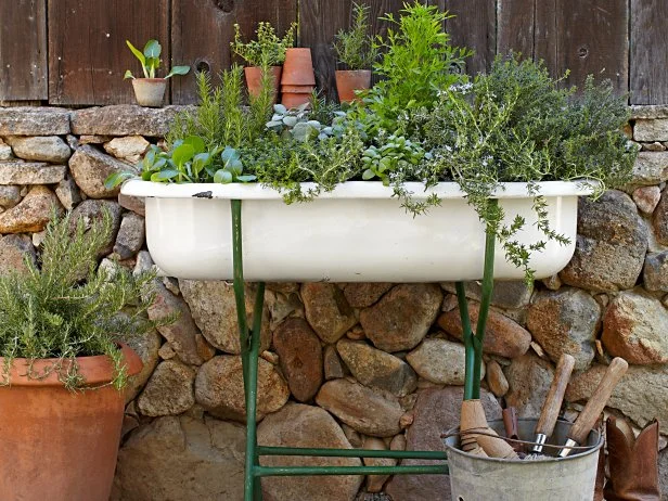 Building Container Herb Garden: Easy Steps for Lush, Fresh Herbs