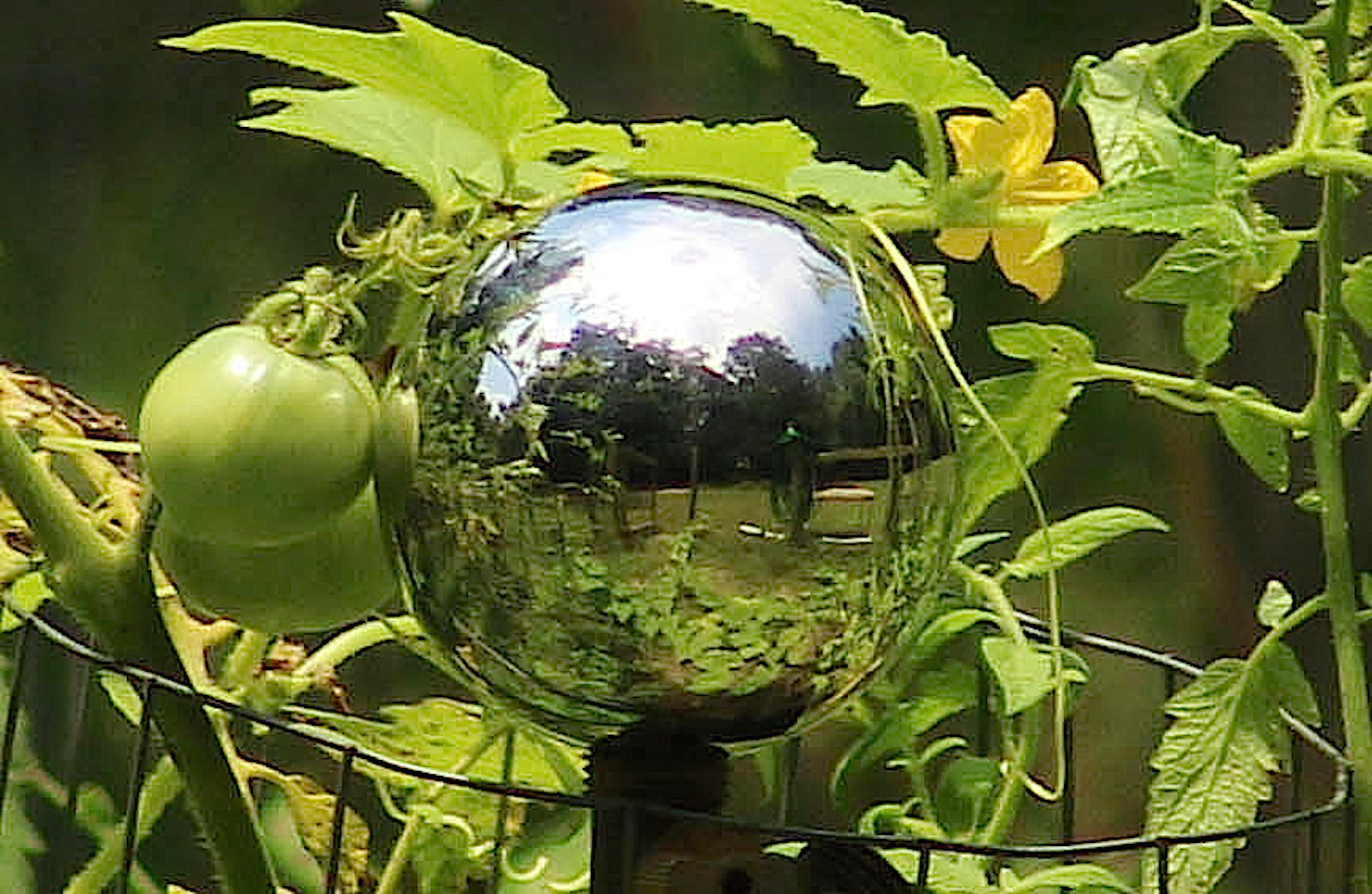 6-14inch Home Ornament Durable Stainless Steel Gazing Ball Gazing Mirror Ball,Gazing Globe Mirror Ball for Garden