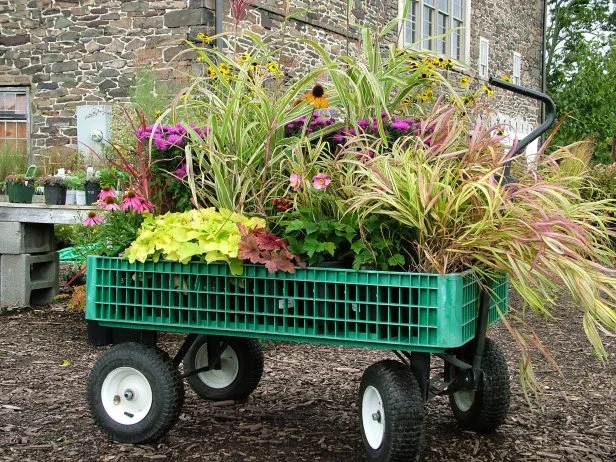 Tips for Moving Plants With Garden Cart: Easy Steps for Safe Transport