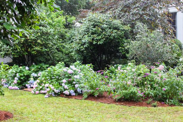 How To Plan A Low Maintenance Landscape How Tos Diy