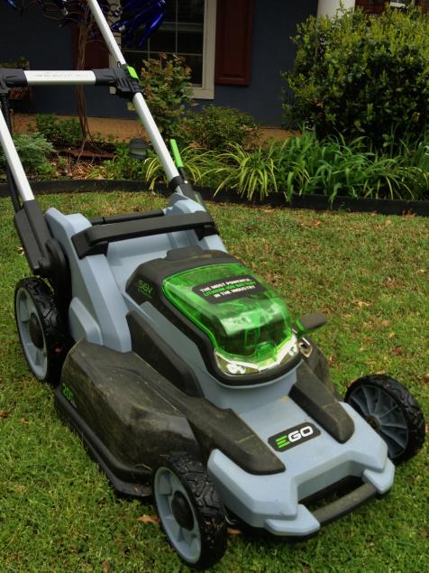 Best electric mower best sale for st augustine grass