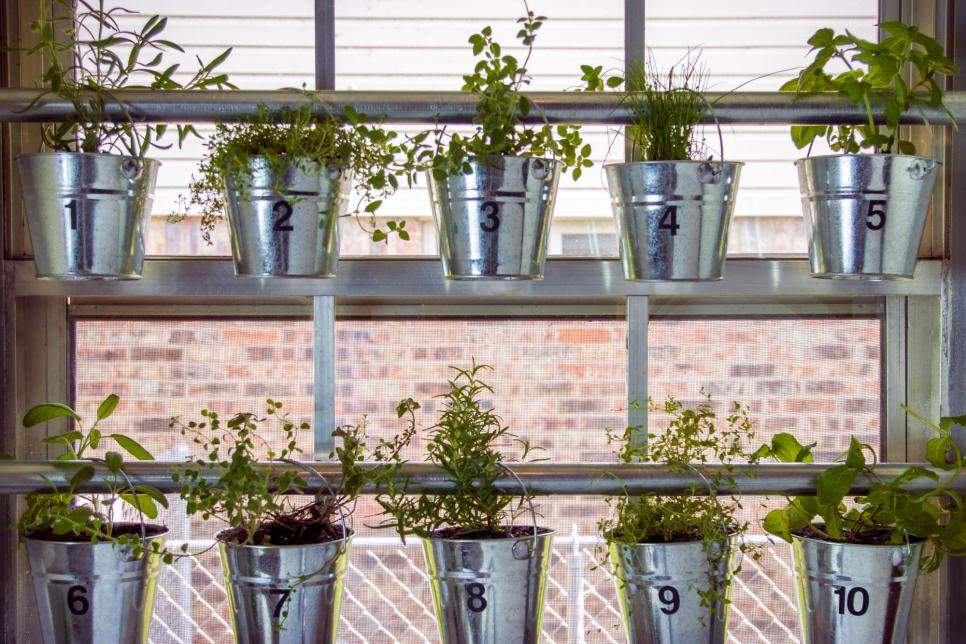Do It Yourself Window Mounted Hanging Herb Garden Hgtv Herb Garden Where You Need It