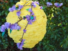 Honeybee Pinata