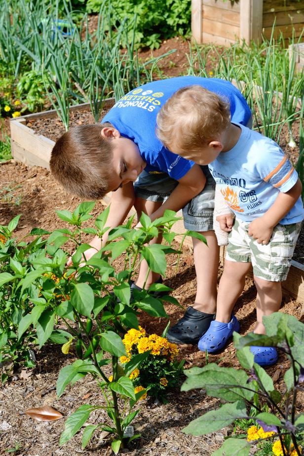 Kids in a Vegetable Garden.