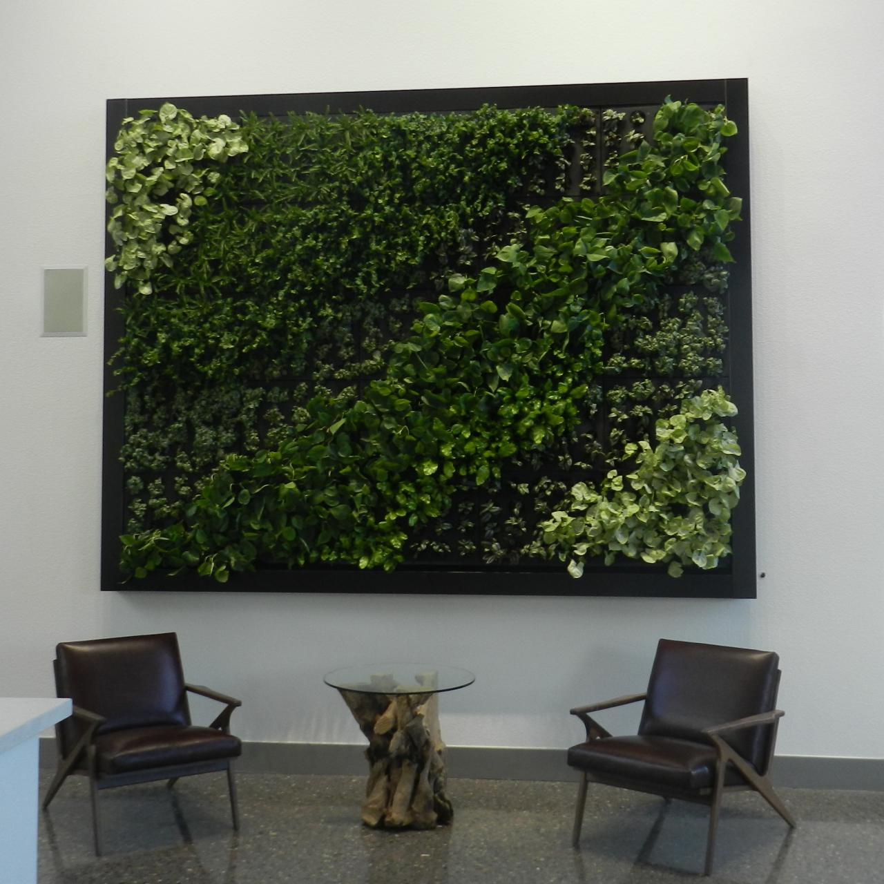 indoor living herb wall