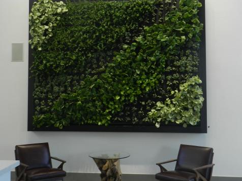 How to Create a Living Wall