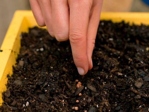 When Is It Time to Sow Seeds?