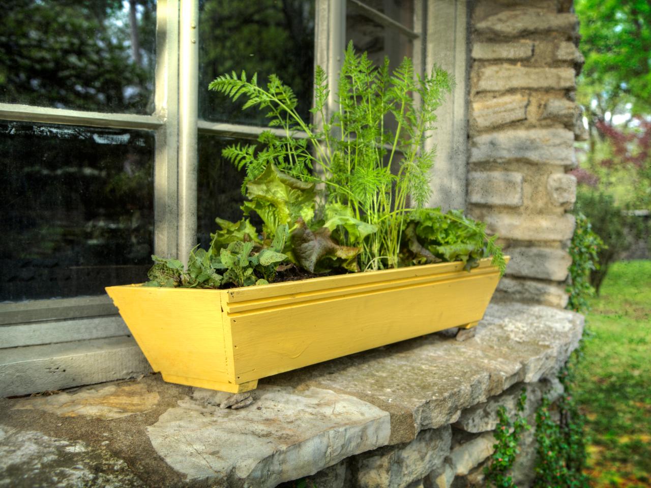 Grow A Window Box Vegetable Garden How Tos Diy