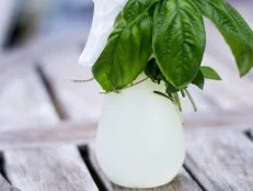 DIY Bug Spray