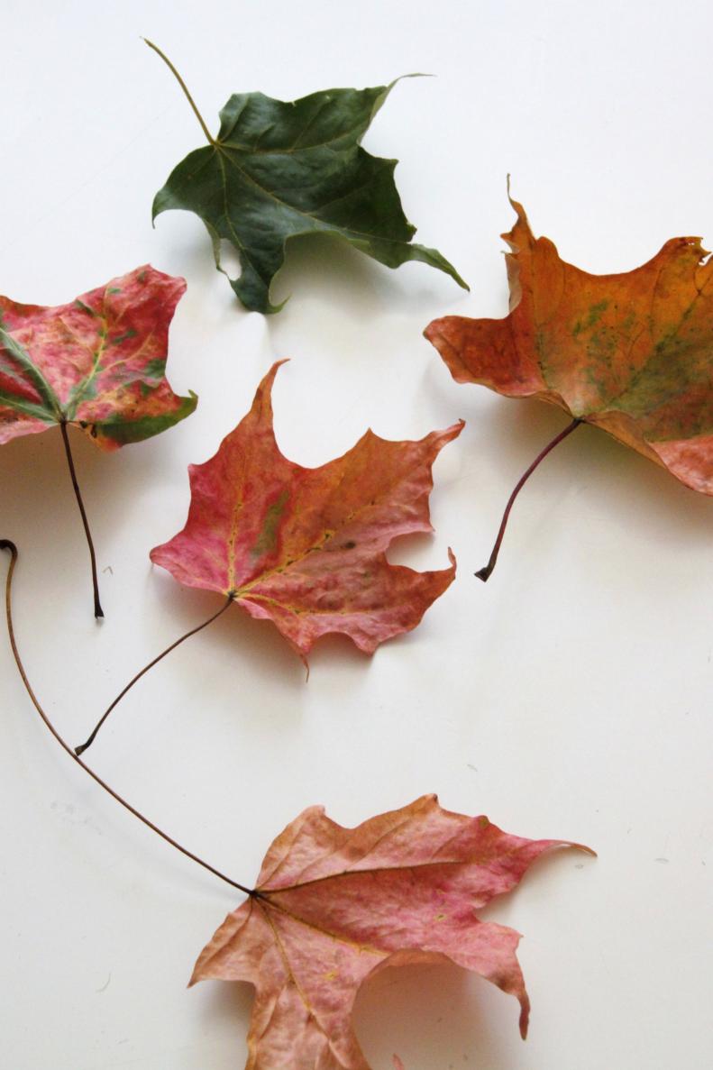 Learn how to turn those fallen leaves into a glorious wreath celebrating the arrival of Autumn.