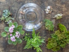 Moss Flower Arrangement