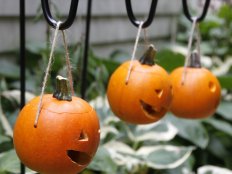 Light up your walkway or garden path with these adorable pumpkin lanterns