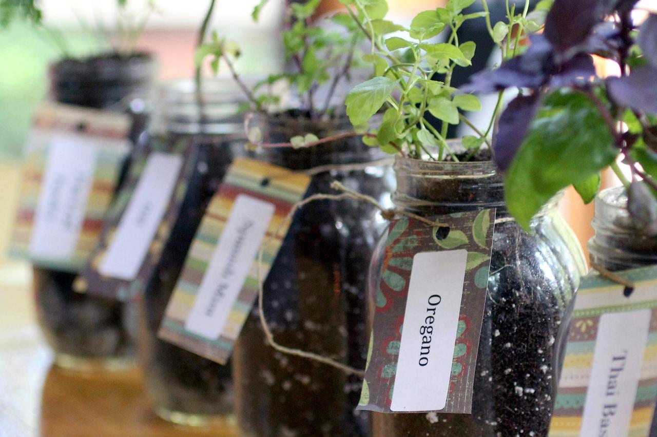How To Grow Herbs Indoors Using Mason Jars Hgtv