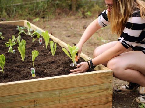 How to Build a Raised Garden Bed Step-by-Step