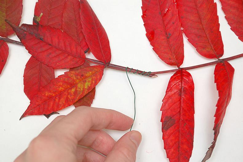 Create a base for your garland by connecting the leaf covered branches you gathered. These work best if the branches or stems are still flexible. Overlap the ends of the branches by about 2 inches, and wrap with floral wire to secure.