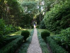 A pea gravel path leads from the parterre garden (with Harland dwarf boxwoods and Edgeworthia) to the potting shed. Along the way, there is confederate jasmine, <i>Ligustrum</i> (or Japanese privet), leucothoe shrubs, variegated Solomon’s seal and <i>osmanthus fragrans</i>, also known as tea olive. “I didn’t want the garden to look the same everywhere,” gardener Rosie Davidson says.