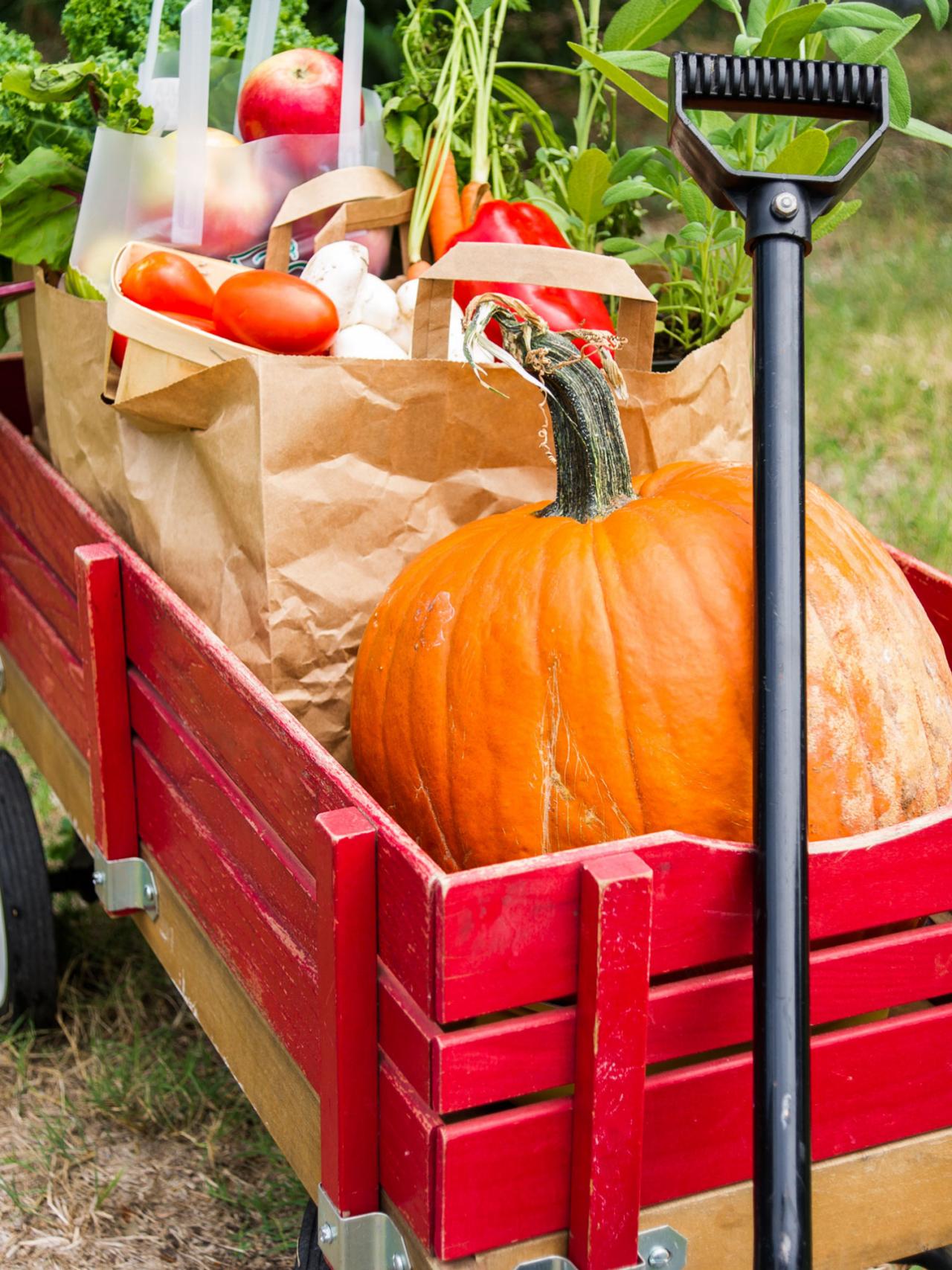 13 Uses For Your Little Red Wagon Hgtv