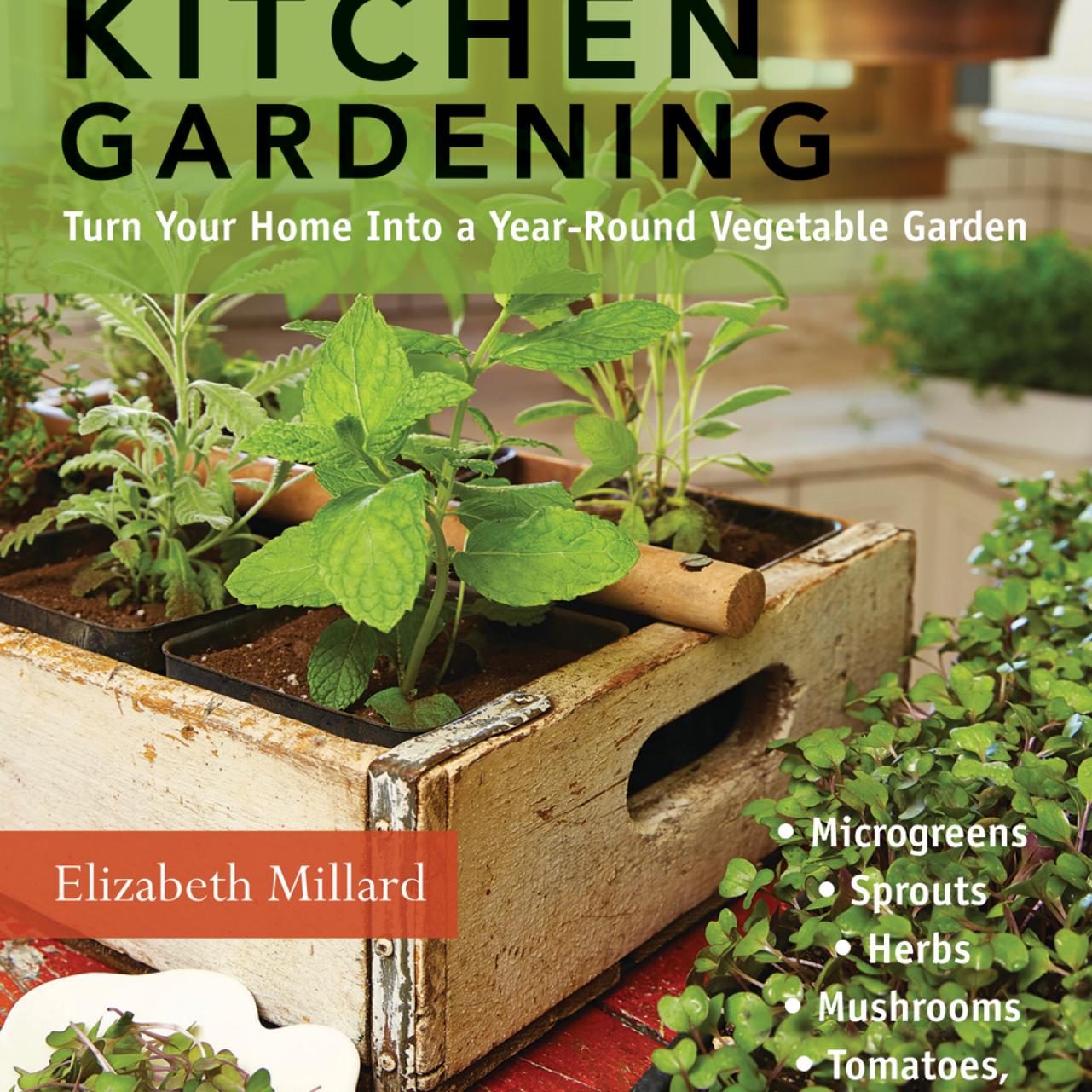 8 Edible Plants You Can Grow in Your Kitchen - Yarden