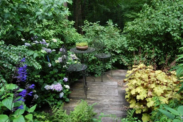 How to Design a Hydrangea Garden: Expert Tips