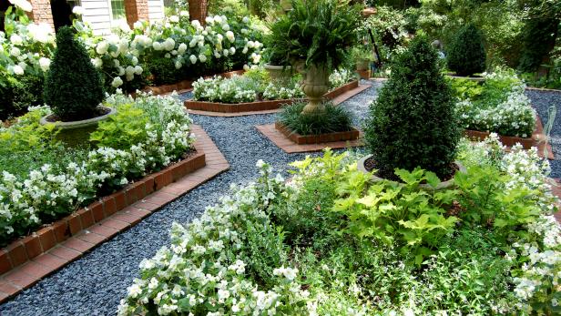 Hydrangeas in Formal Beds