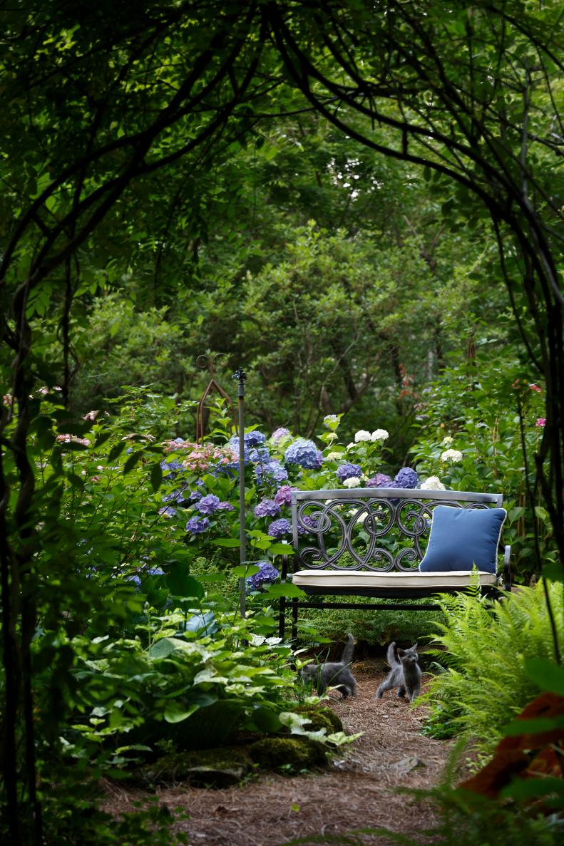 This romantic arbor soars high, with a bench from <a href="http://summerclassics.com/collections/somerset/" target="_blank">Summer Classics' Somerset collection</a>, plus frolicking cats, underneath.