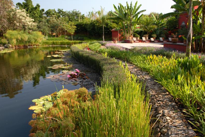 For clients who wanted to expand their Mexico residence with an&nbsp;extensive new garden and guest house, landscape architect&nbsp;Mario Schjetnan created a garden with tropical plants and flowers and paths that meander beside existing vegetation and water&nbsp;channels. The <a href="http://www.asla.org/2012awards/333.html" target="_blank">project</a> won an American Society of Landscape Architects award.