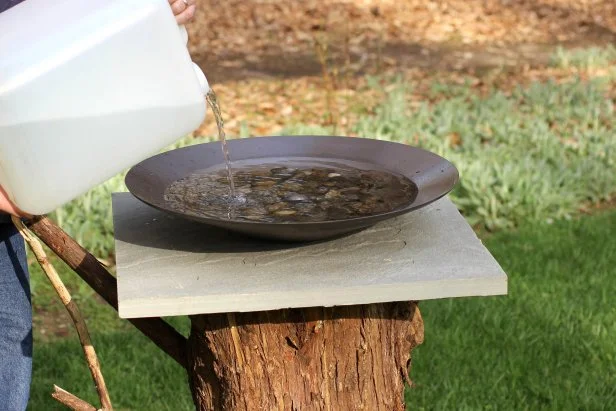 How to Build Bird Bath: Easy Steps for a Stunning Backyard Feature