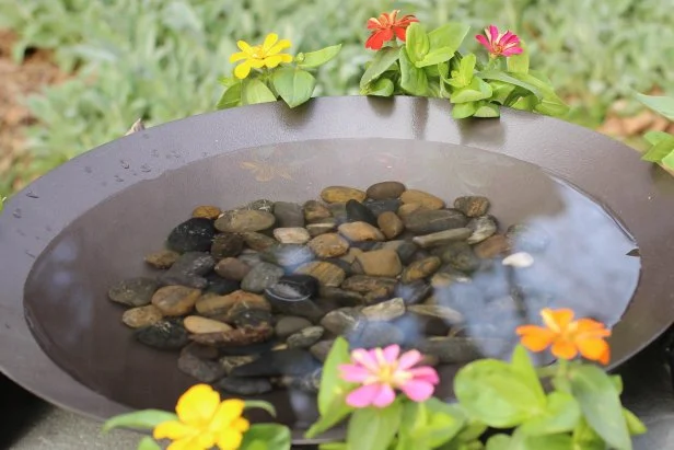 How to Decorate a Bird Bath: Stunning Ideas to Beautify Your Garden