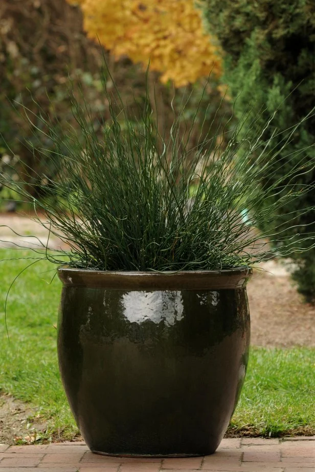 outdoor large pots for plants Large Pot Brown Fiberglass Round Tall L Terracotta Planter D97 H61 cm, 451L