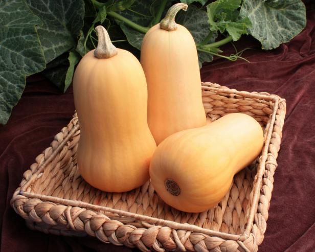 'Little Dipper' Butternut Squash