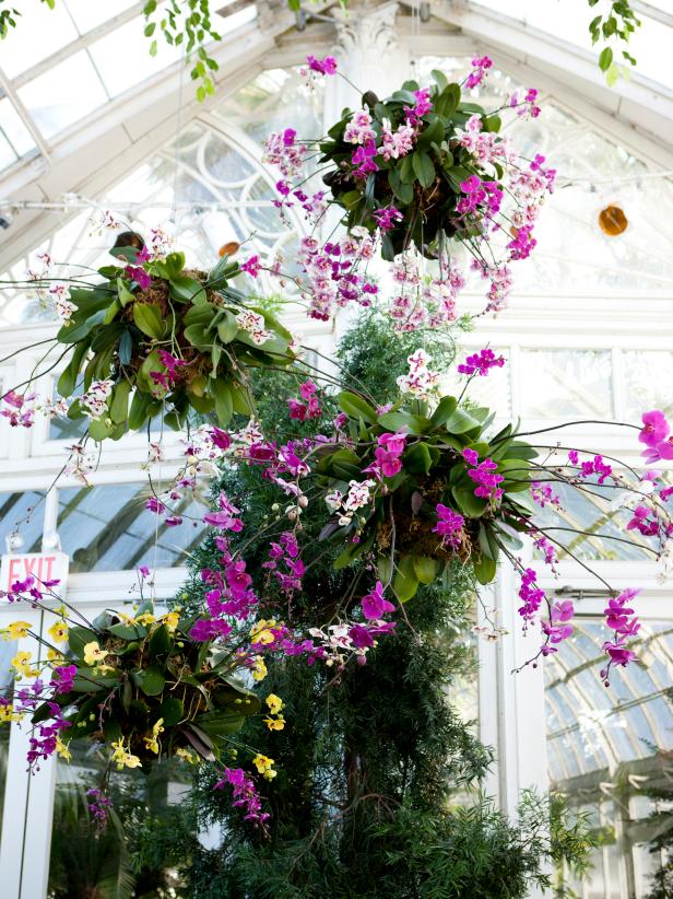 Orchid Chandeliers, Small Orchids Garden Design