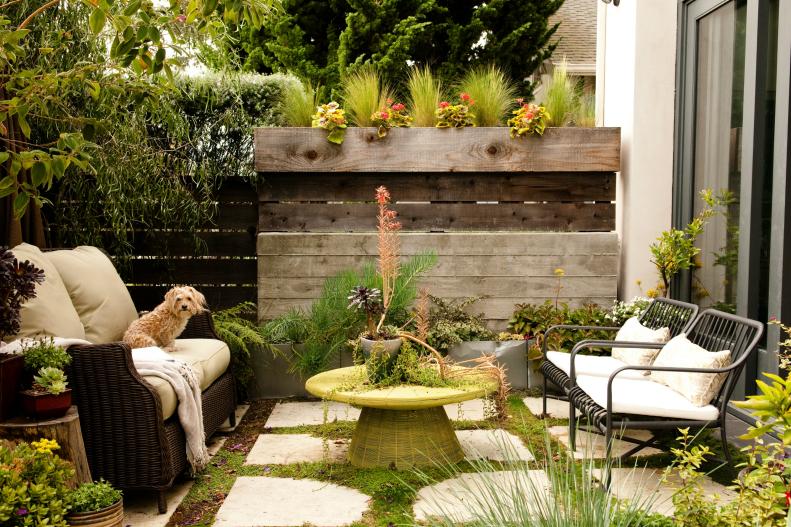 Small space gardening, using succulents, herbs and grasses,&nbsp;is a continuing trend. Carmen Johnston, owner of Nectar and Co. in Macon, Ga., says using &quot;patio edibles,&quot; such as herbs and small tomato and other plants, work well in container gardens. Courtney Lake, a California interior designer and blogger at&nbsp;<a href="http://courtneyoutloud.wordpress.com/" target="_blank">Courtney Out Loud</a><a>,</a>&nbsp;added herbs, cacti, native grasses and succulents, in the&nbsp;Home Depot Patio Style Challenge.
