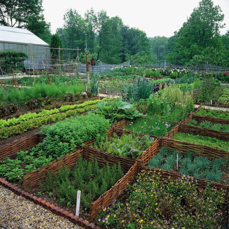 Famed designer, lifestyle doyenne and gardener extraordinaire Bunny Williams keeps a kitchen garden at her Connecticut home that would make harvesting an aesthetic pleasure. See more of Bunny's beautiful gardens in her reissued book <a target="_blank" href="http://www.amazon.com/Bunny-Williams-On-Garden-Style/dp/1617691534/ref=pd_sim_b_5?ie=UTF8&amp;refRID=08RCHJ2KBPX7YPZ9SC85">Bunny Williams: On Garden Style</a>.
