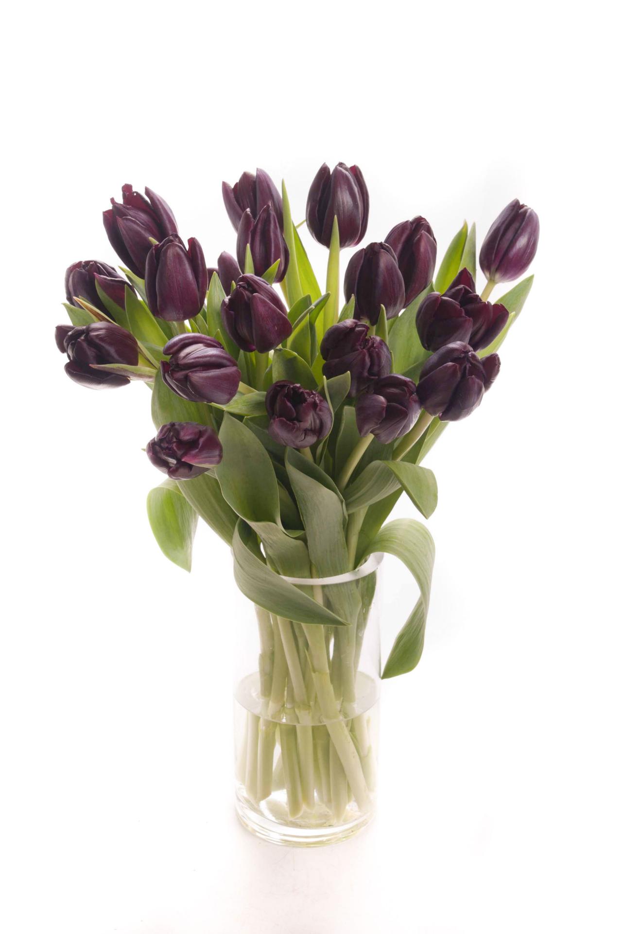 How To Keep Tulips From Drooping Hgtv