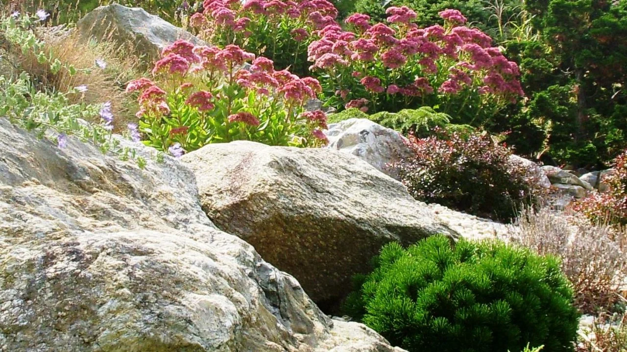 Rustic Garden Ideas Rock