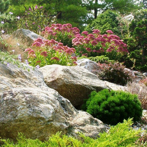 rock flower bed