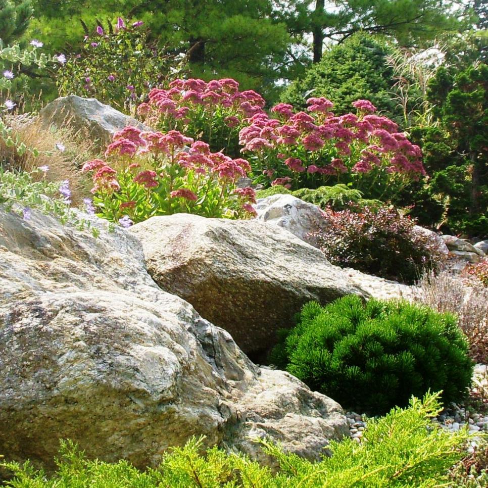 30 Gorgeous Rock Garden Designs, Landscape Design Ideas With Rocks