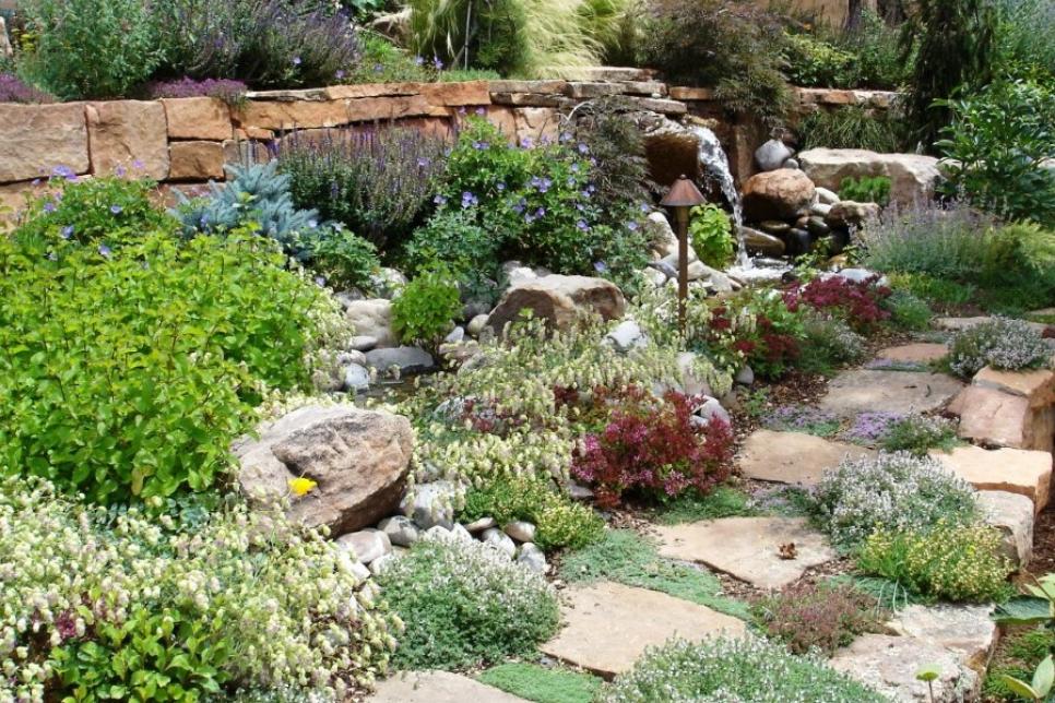 Low-Water Rock Gardens | HGTV