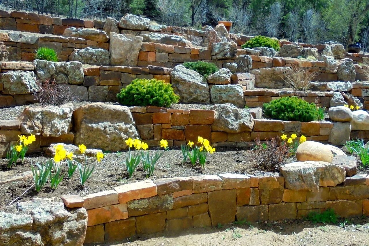 Raised Rock Garden Ideas